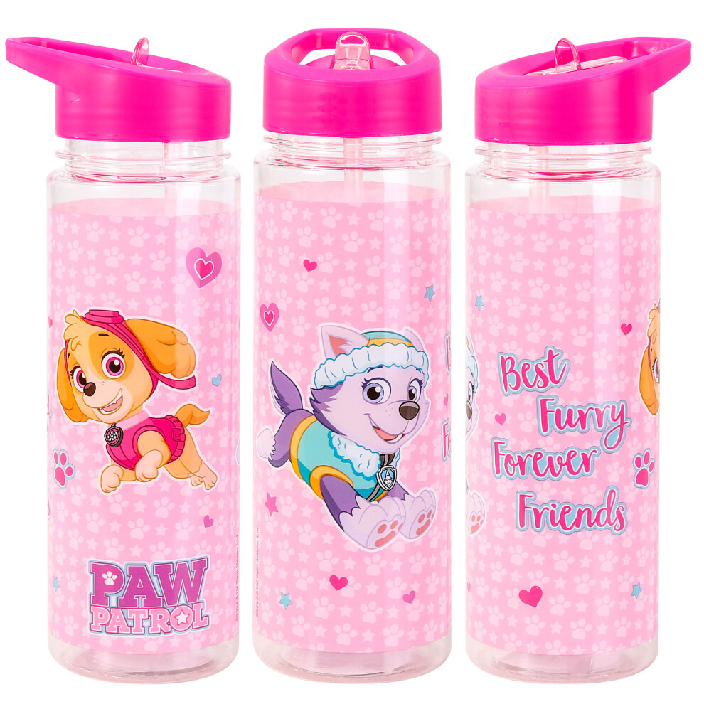 Paw Patrol Everest & Skye Plastic Sports Water Bottle With Straw Pink,Clear