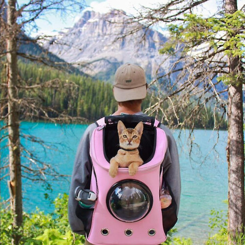 (Pink) Cat Backpack For Larger Cats 1