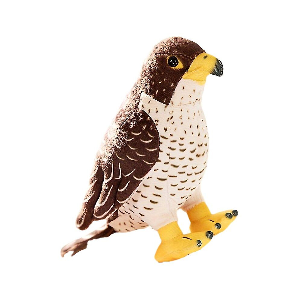 Simulated Eagle Doll Plush Toy Bird Falcon Doll Childrens Cognitive Ornament Photo Props