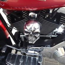 Skull Horn Cover