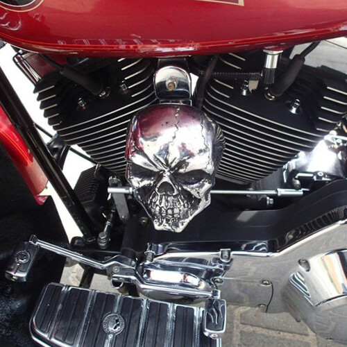 Skull Horn Cover