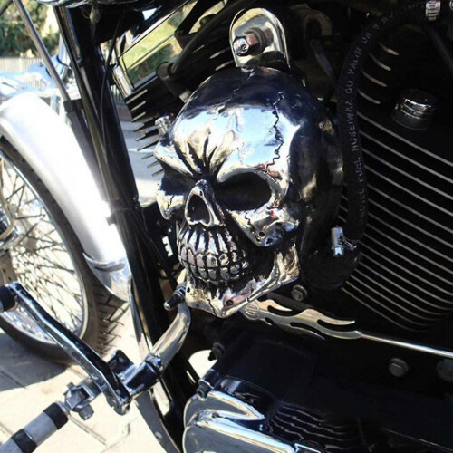 Skull Horn Cover 2