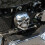 Skull Horn Cover 5
