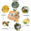 Lymphatic Detox Organic Ginger Soap Ginger Lymphatic Drainage Turmeric Soaps 3
