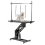 KCT KCT Large Black Hydraulic Adjustable Dog Grooming Table 1