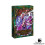 Flesh and Blood: Rosetta Blitz Deck Collectie 5