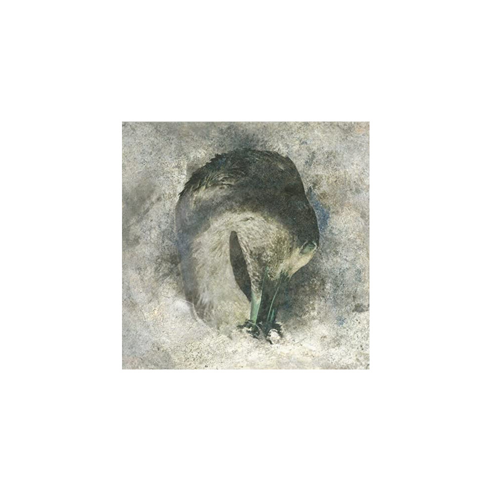 Suma - Ashes (20Th Anniversary Edition) [Cd] Size 20