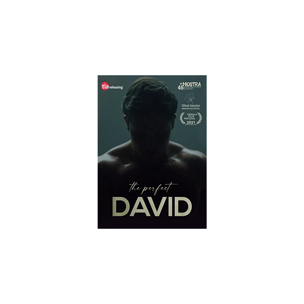 The Perfect David [DVD]