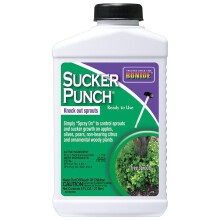 Bonide Sucker Punch, 8 oz Listo para Usar Control de Brotes con Aplicador de Cepillo