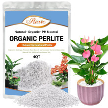 Riare 4 Quarts Organic Perlite for Plants Horticultural Perlite Soil Amendment for Plants Potting Mix Natural Chunky Perlite
