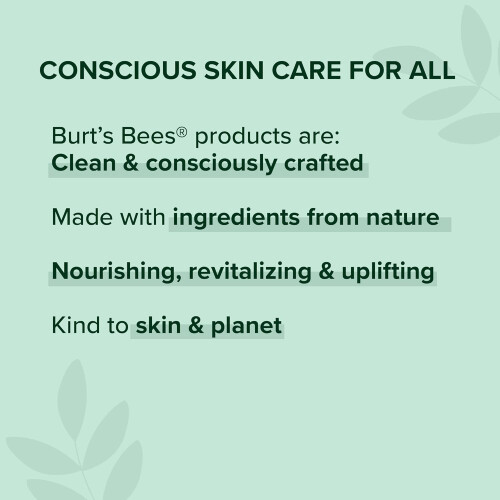 Burt's Bees Burt's Bees Wild Cherry Moisturizing Lip Balm 2