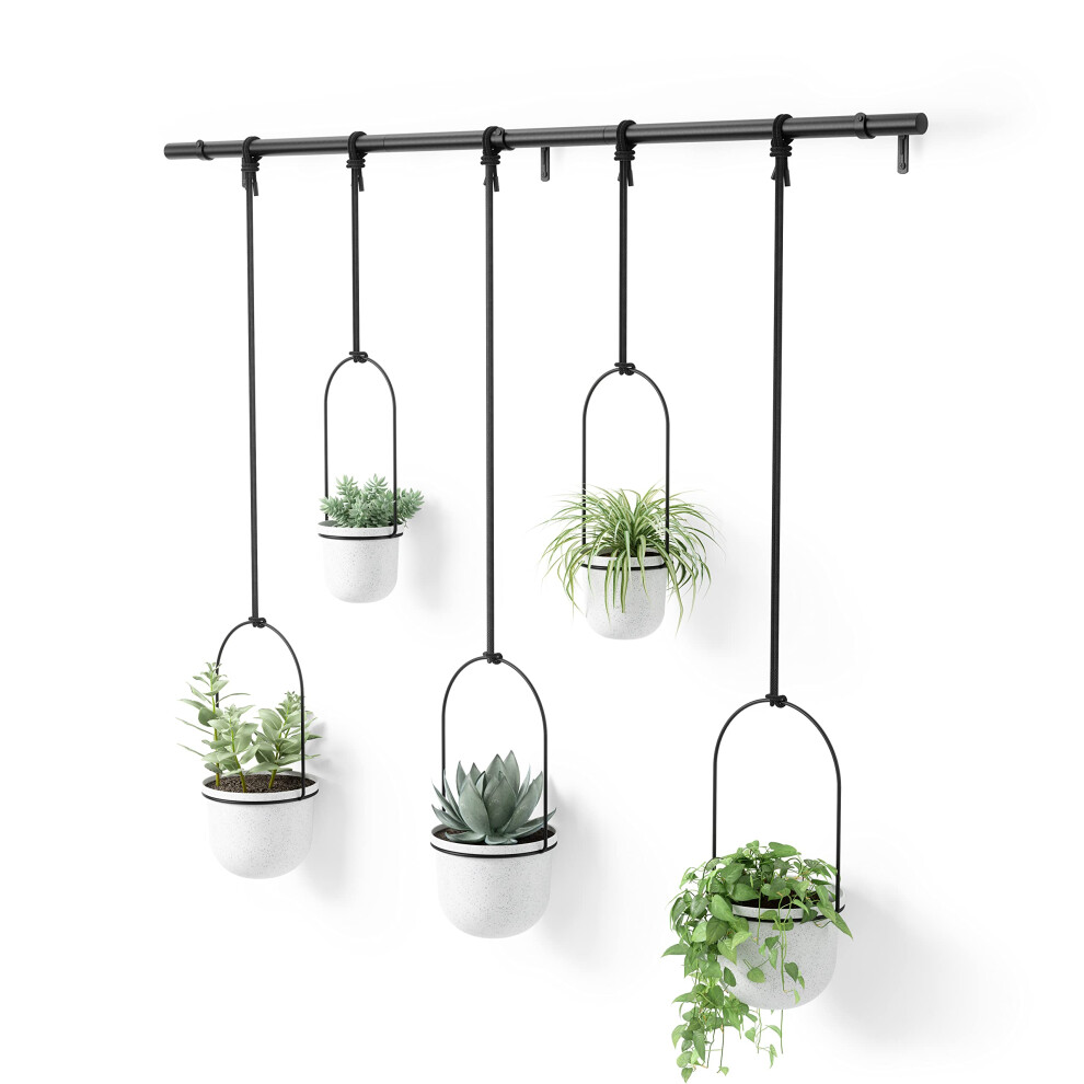 Umbra Triflora Hanging Planter for Window  Indoor Herb Garden  Set of 5  WhiteBlack