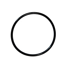 350013 O-Ring för Pentair WhisperFlo IntelliFlo Challenger Pinnacle Pump (1/Pack)