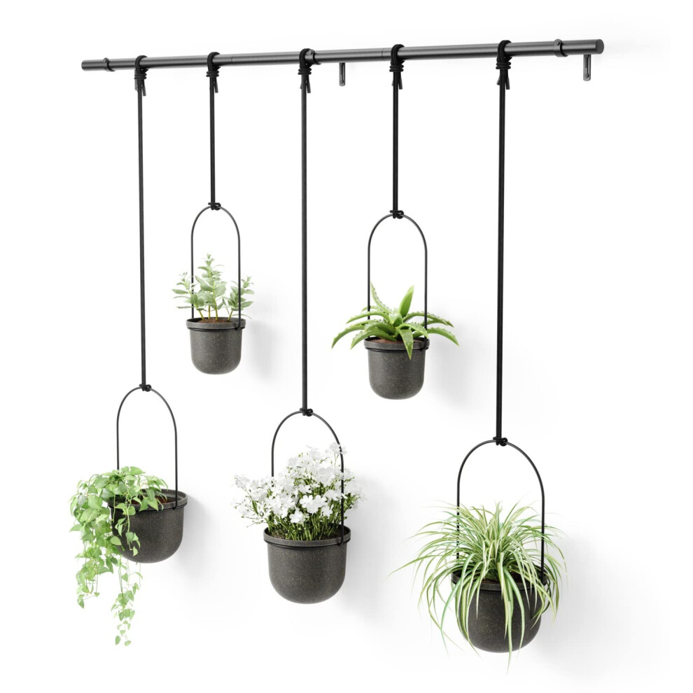 Umbra Triflora Hanging Planter for Window  Indoor Herb Garden  Set of 5  Black