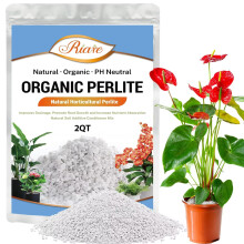 Riare 2 Quarts Organic Perlite for Plants Horticultural Perlite Soil Amendment for Plants Potting Mix Natural Chunky Perlite