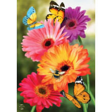 Garden Gerber Daisies Spring House Flag Butterflies Floral 28"""" x 40""""