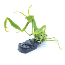 For Infrared RC Remote Control insects RC animals mantis Trick Terrifying Mischief Toys