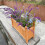 (Brown) Wooden Rectangular Planter Flower Plant Pot Trough 6