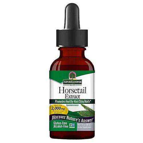 Nature's Answer Horsetail, Alcohol Free Extract 1 FL Oz (Pack of 1)