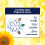 Comfort Comfort Sunshiny Days Fabric Conditioner 4.8L x2 4