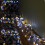 12.4m 960 LED ClusterBrights Lights with Timer in Warm & Cool White Clear Cable 1
