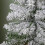 75cm Mini Imperial Snow Flocked Christmas Tree in Burlap Base 6