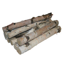 Wilson Northern White Birch Log Bundle, Natural Bark Wood Home Décor - 15.5"-17.5" in Length 1.5"-3" Dia. (Set of 8)