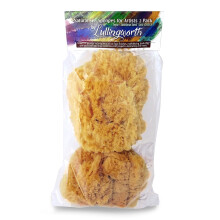 Natural Sea Sponges for Artists - Unbleached 5""-5.5"" 2pc Value Pack: Great for Painting Decorating Texturing Sponging Marbling Effects Faux Finishes