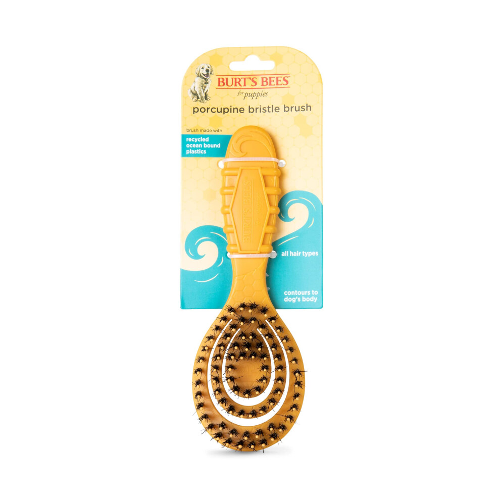 Burt's Bees for Pets Porcupine Bristle Brush for Puppies and Small Dogs | Handle Made from 100% Ocean Bound Recycled Plastic | Flex-Head Grooming Brus