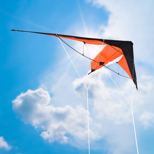 Akrobatischer Drachen mit 30m Leinen - beeindruckend am Himmel 1