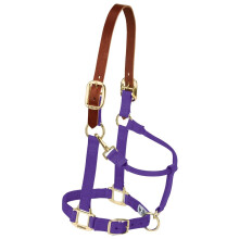 Weaver Leather Nylon Adjustable Breakaway Horse Halter Small Purple