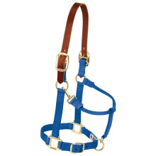 Weaver Leather Nylon Adjustable Breakaway Horse Halter Small Blue