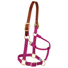Weaver Leather Nylon Adjustable Breakaway Horse Halter Yearling Raspberry