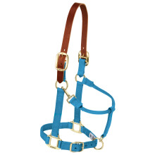 Weaver Leather Adjustable Breakaway Nylon Horse Halter Hurricane Blue WeanlingPony