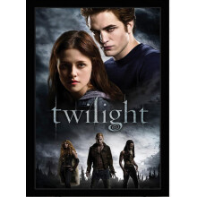 Twilight Film Posters Wood Jigsaw Puzzle 1000/500/300 Pieces Adult Toys Decompression Game Tp091ys