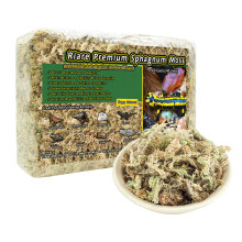 Riare 1.1 LB Premium Sphagnum Moss for Reptiles- Natural Reptile Moss Forest Plume Moss for Incubation Medium Green Moss Bedding for Anoles Salamand
