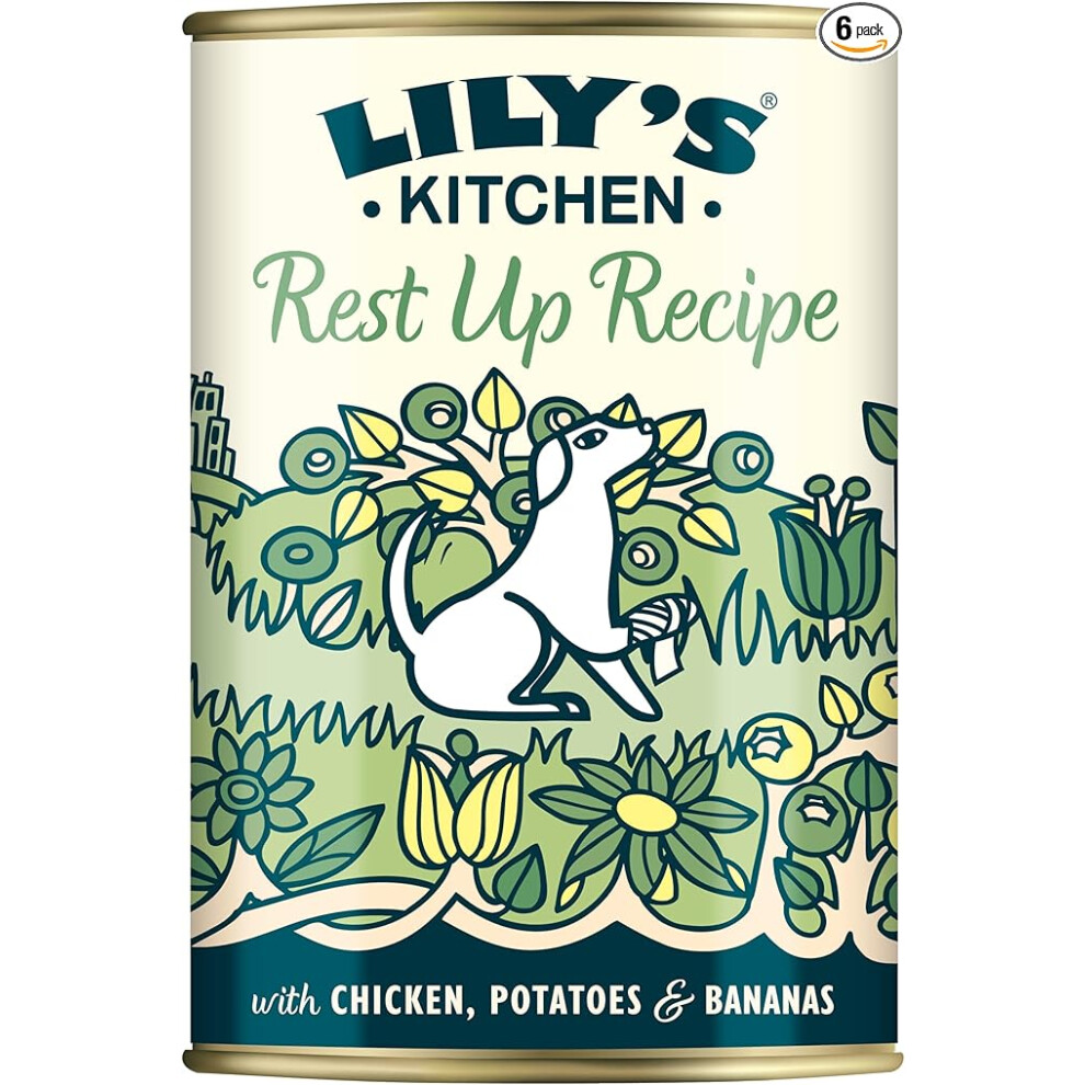 Lily's Kitchen Made with Natural Ingredients Adult Wet Dog Food Tin Rest Up Recipe 6 x 400g