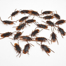 12 Pcs Simulated Plastic Cockroaches Deceptive Props Toy Trick Decor