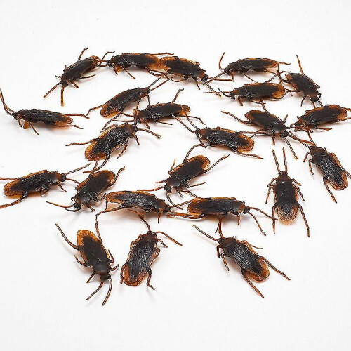 12 Pcs Simulated Plastic Cockroaches Deceptive Props Toy Trick Decor