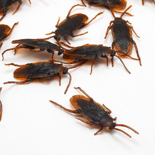 12 Pcs Simulated Plastic Cockroaches Deceptive Props Toy Trick Decor 2
