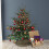 Small Wicker Storage Hamper 10