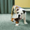 KONG TenniShoes Giraffe Lg 2