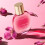 Clarins Clarins Fix Make-Up Makeup Fixer 50 ml 4