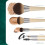 EcoTools Poederkwast BLURRING 1 eenheid 6