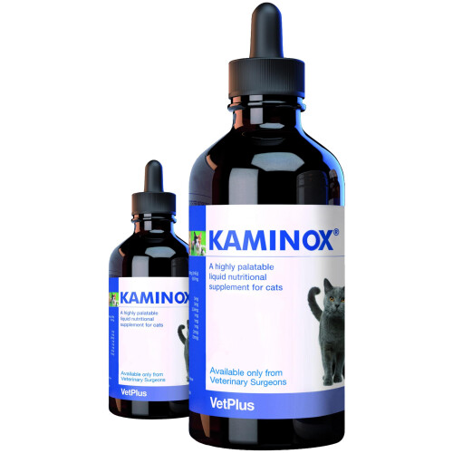 Kaminox - A Highly Palatable Liquid Nutritional Support For Cats, 60Mls