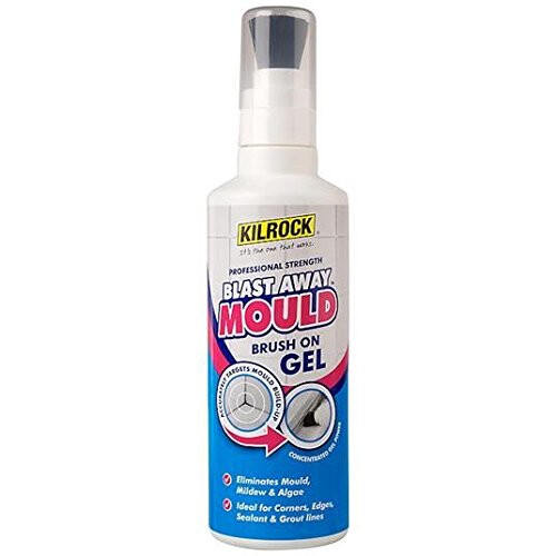 Blast Away Brush On Mould Gel 250ml