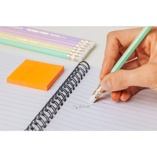 BIC Evolution blyant med viskelæder pastel (12 stk.) BIC 2
