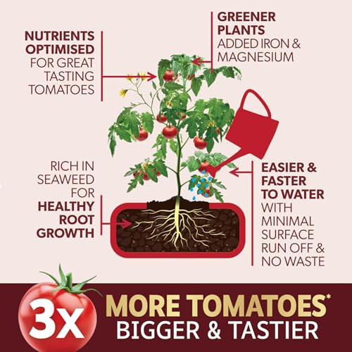 Westland Big Tom Tomato Food 2 Litre (Big Value) 1