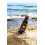 Calypso Tanning and Protection Spray SPF6 3