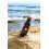 Calypso Tanning and Protection Spray SPF6 2
